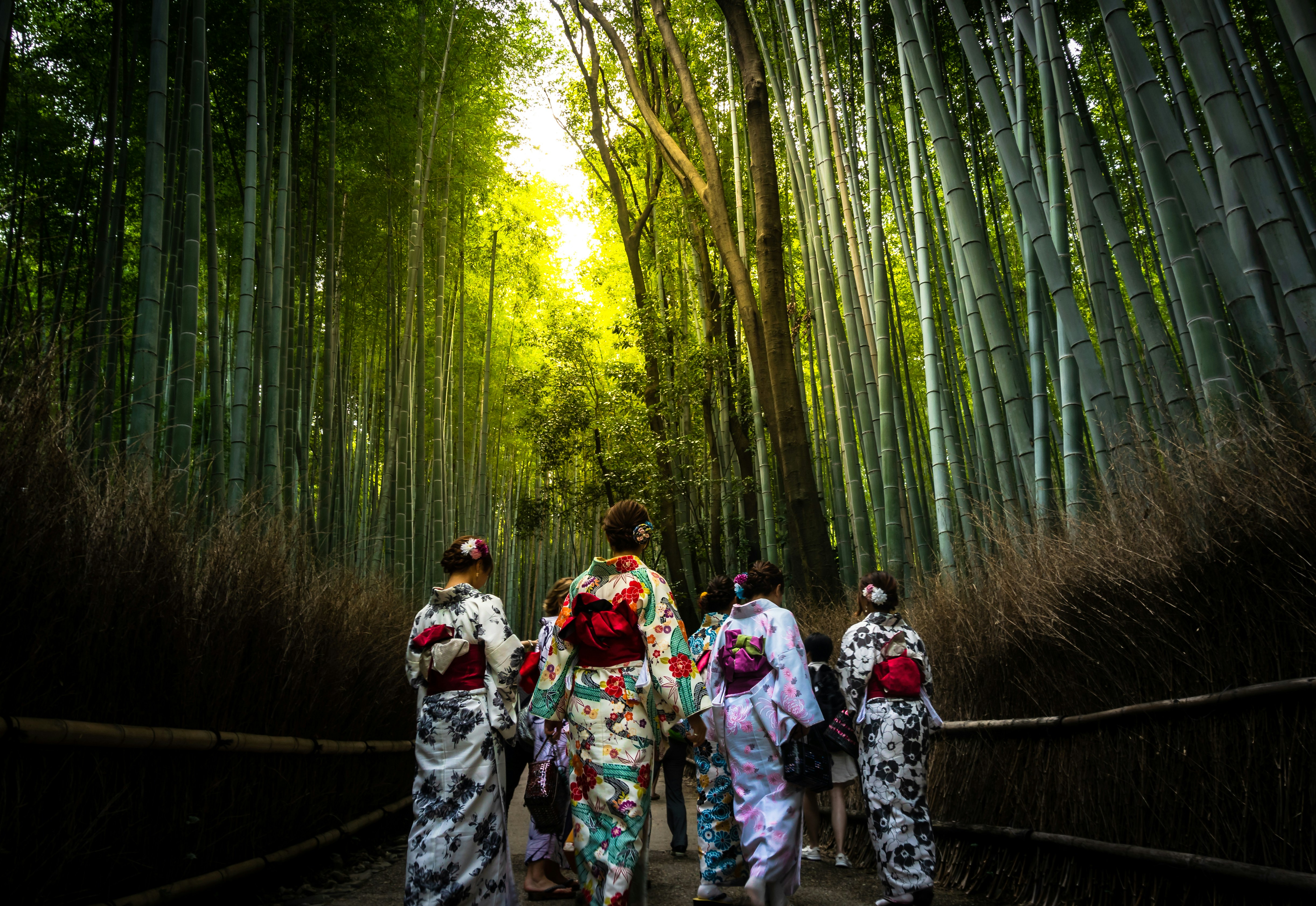 The mysterious atmosphere of the Arashiyama Bamboo Grove path.